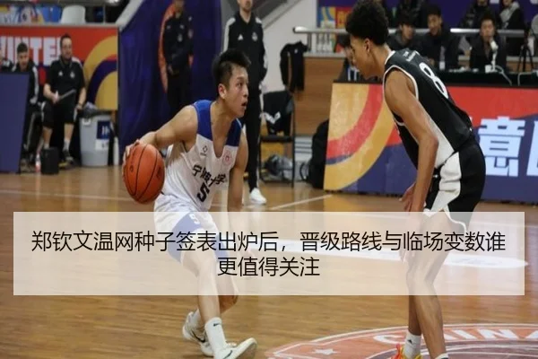 郑钦文温网种子签表出炉后，晋级路线与临场变数谁更值得关注 | bet365 sportsbook